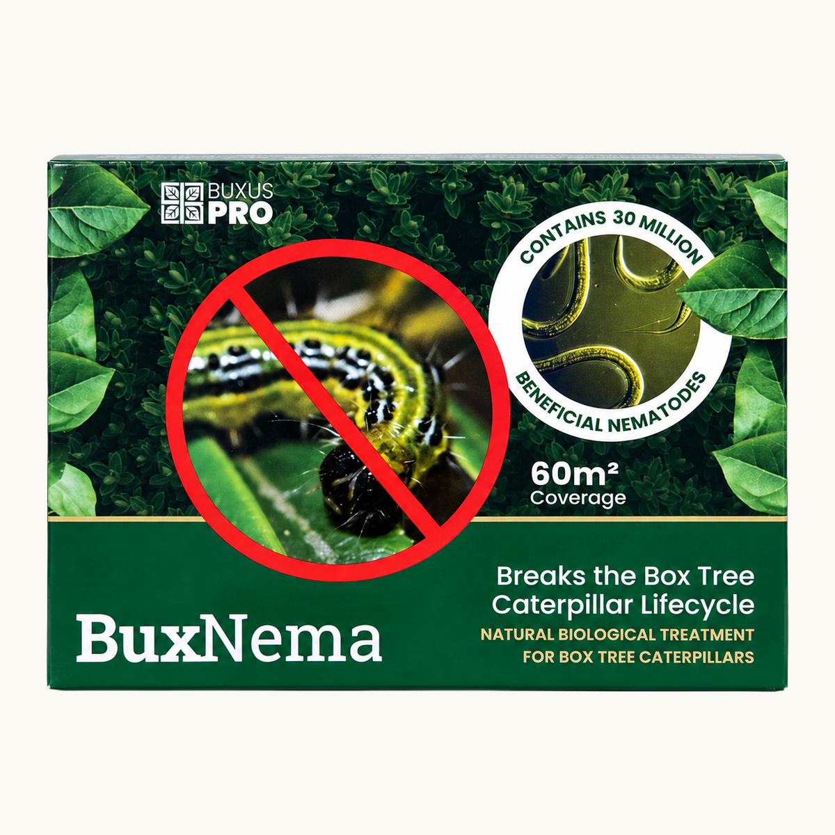 BuxNema beneficial nematodes treatment for box tree caterpillars with 60m² coverage