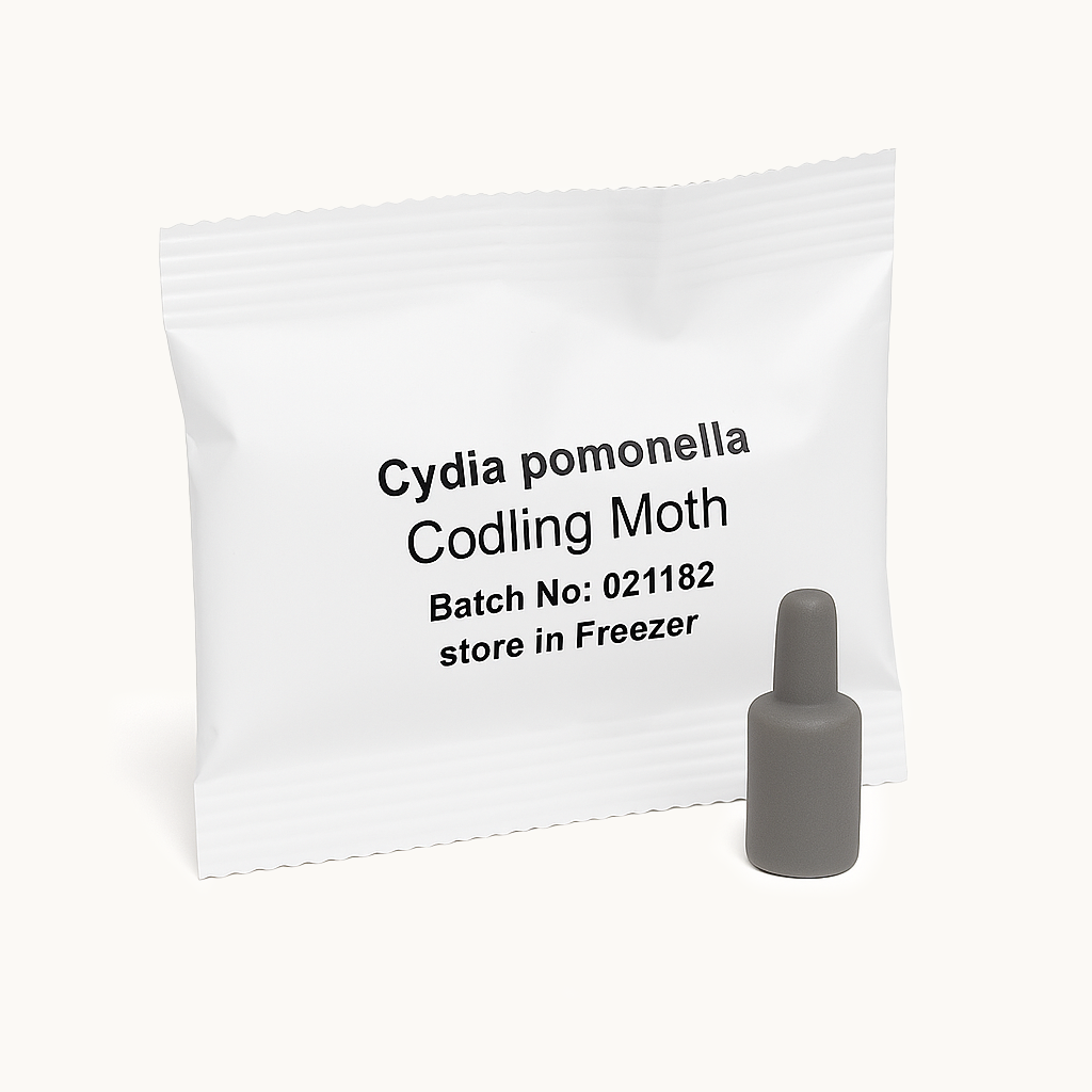 Pheromone lure sachet labelled “Cydia pomonella – Codling Moth” with a grey plastic pheromone capsule on a white background.