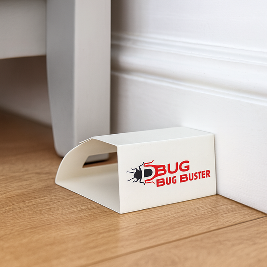D-Bug Bug Buster insect trap placed under furniture for indoor bug control