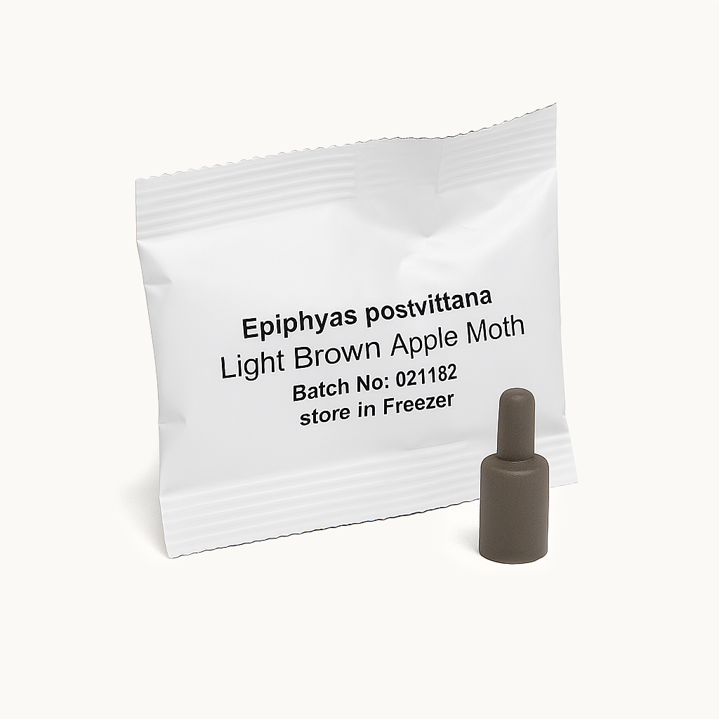 Pheromone lure sachet labelled “Epiphyas postvittana – Light Brown Apple Moth” with a brown plastic pheromone capsule on a white background.