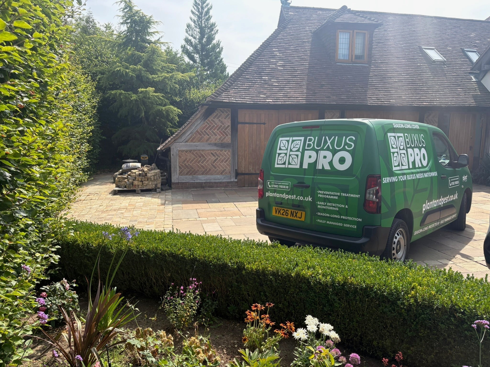 When Is Professional Box Tree Caterpillar Treatment Worth It?