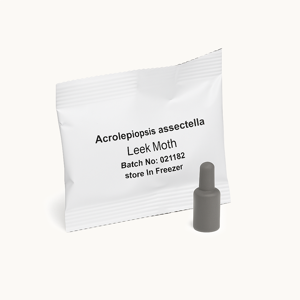 Pheromone lure sachet labelled “Acrolepiopsis Assectella – Leek Moth” with a grey plastic pheromone capsule on a white background.