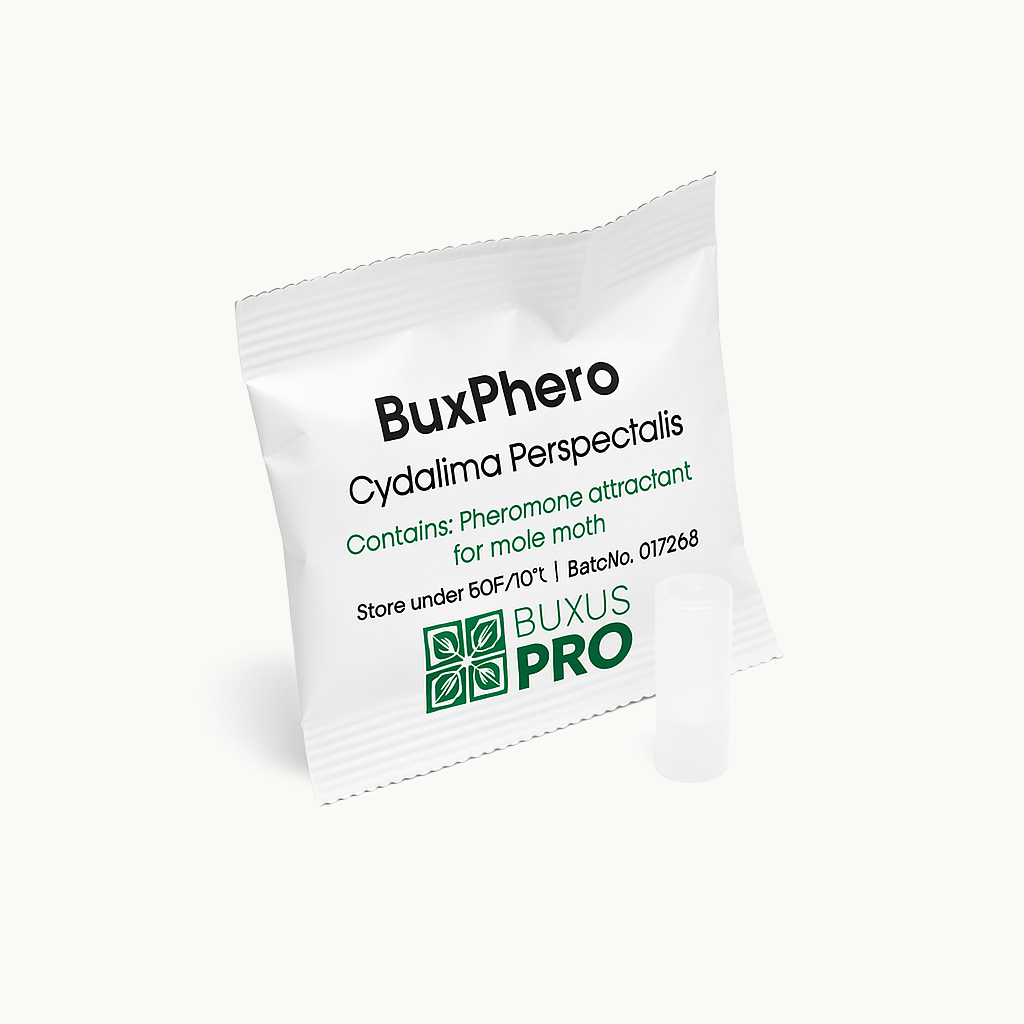 BuxPhero pheromone lure refill pack by BuxusPro for use with BuxTrap to control box tree moths
