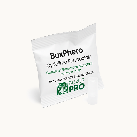 BuxPhero pheromone lure refill pack by BuxusPro for use with BuxTrap to control box tree moths