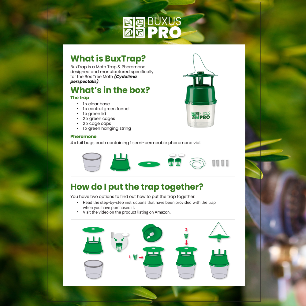 BuxTrap assembly instructions showing how to set up the BuxusPro box tree moth trap