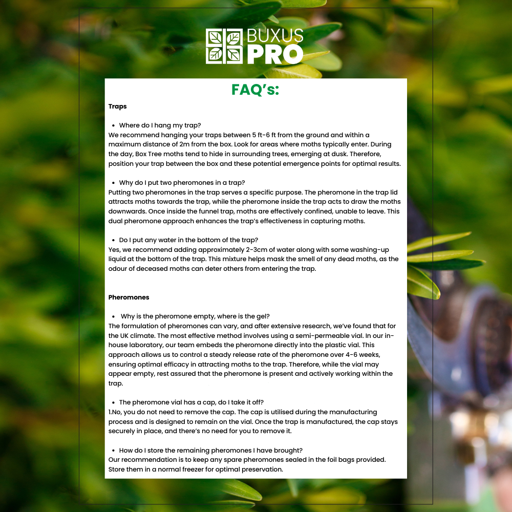 BuxTrap FAQs — how to use BuxusPro moth trap, pheromone placement, and setup advice