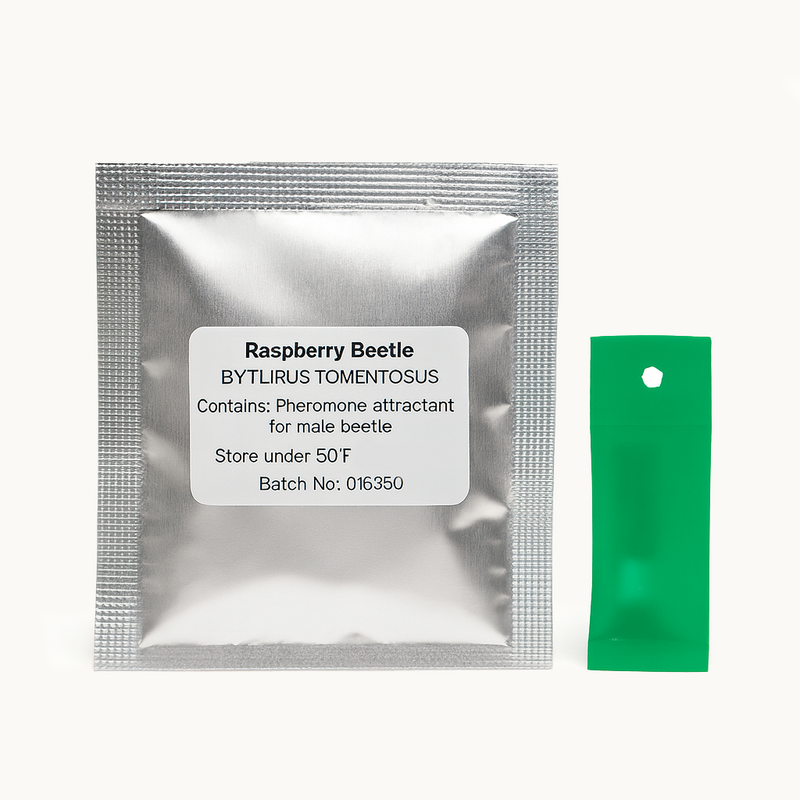 Silver sachet with Raspberry Beetle label and green tag on a white background