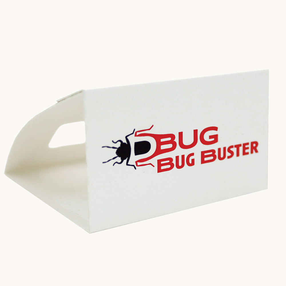 D-Bug Bug Buster 30-pack of crawling insect traps for spiders, ants and beetles