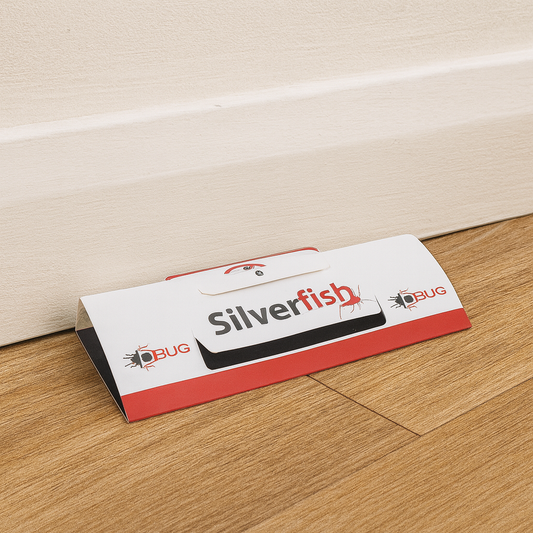 Silverfish Bug trap on a wooden floor