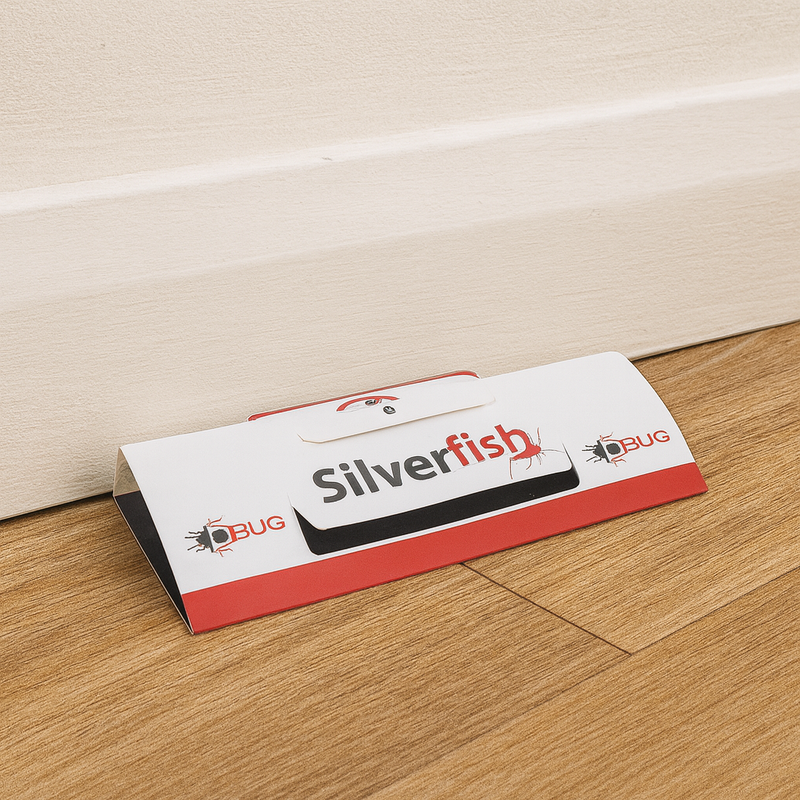 Silverfish Bug trap on a wooden floor