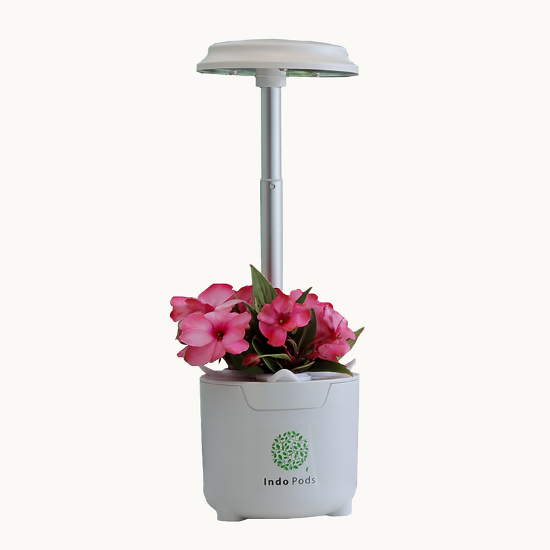 Indo Pods product with a small plant on a white background