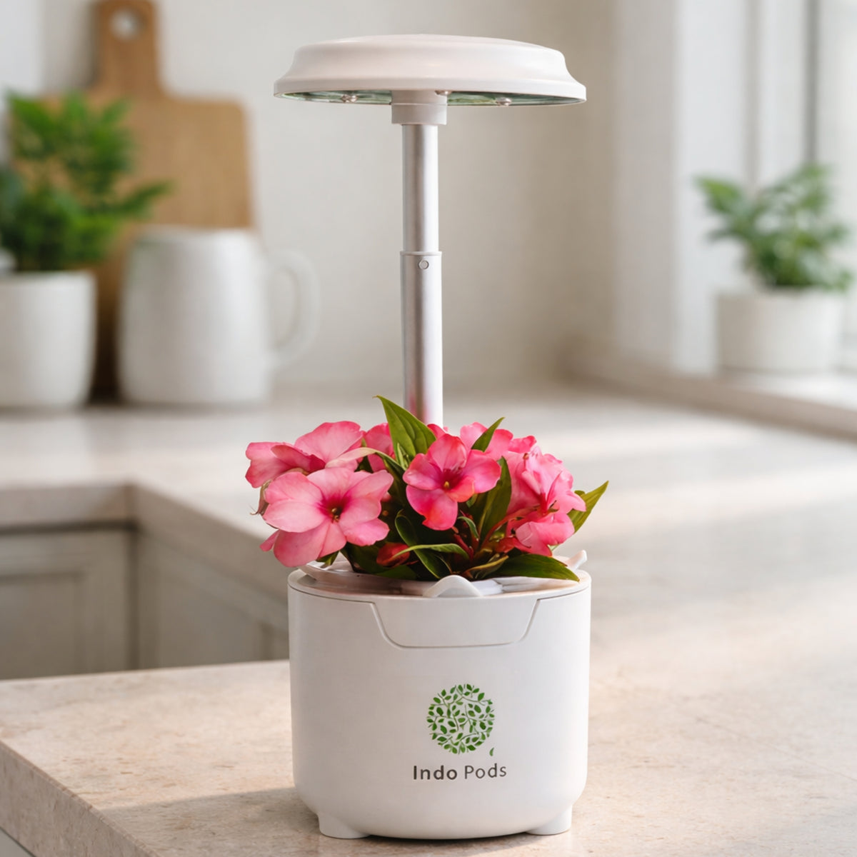 IndoPods Seedling - Indoor Hydroponic Growing System