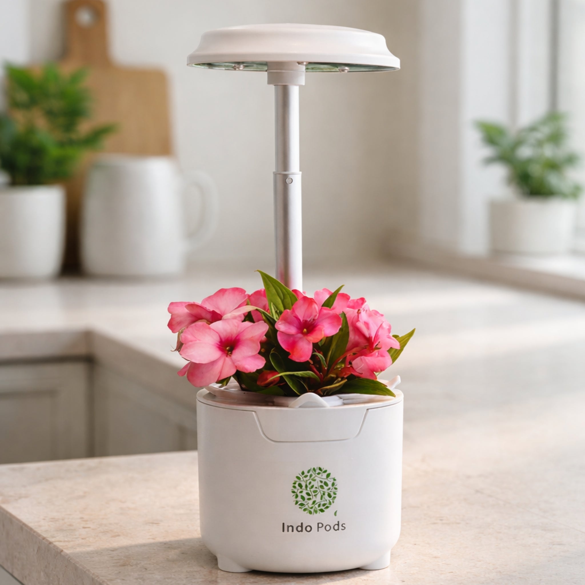 IndoPods Seedling - Indoor Hydroponic Growing System