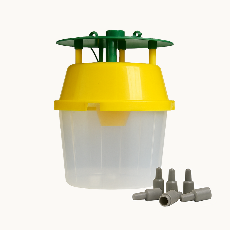 Pheromone moth trap on a white background