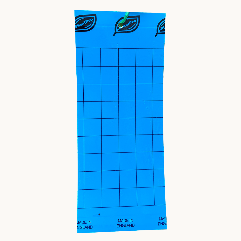 PlantPro blue sticky insect trap with grid and logo