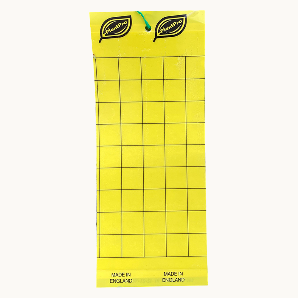 Yellow grid chart with 'PlantPro' branding on a white background