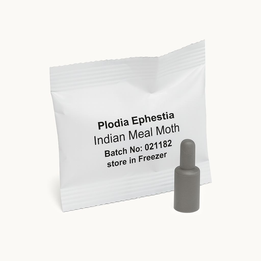 Pheromone lure sachet labelled “Plodia Ephestia – Indian Meal Moth” with a grey plastic pheromone capsule on a white background.