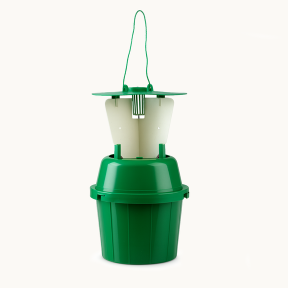 Green hanging raspberry beetle trap with white compartments on a white background