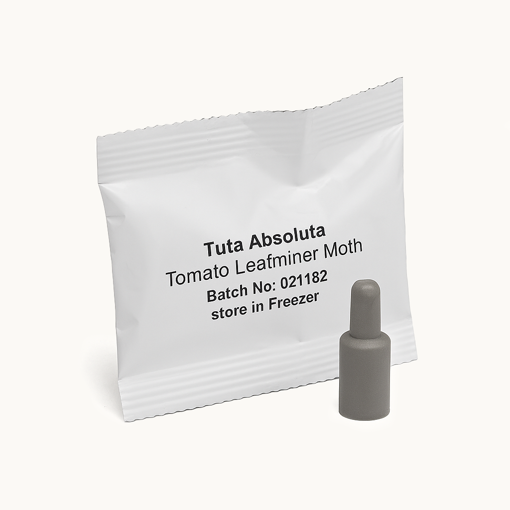 Pheromone lure sachet and grey attractant capsule for Tuta absoluta Tomato Leafminer Moth on a white background.