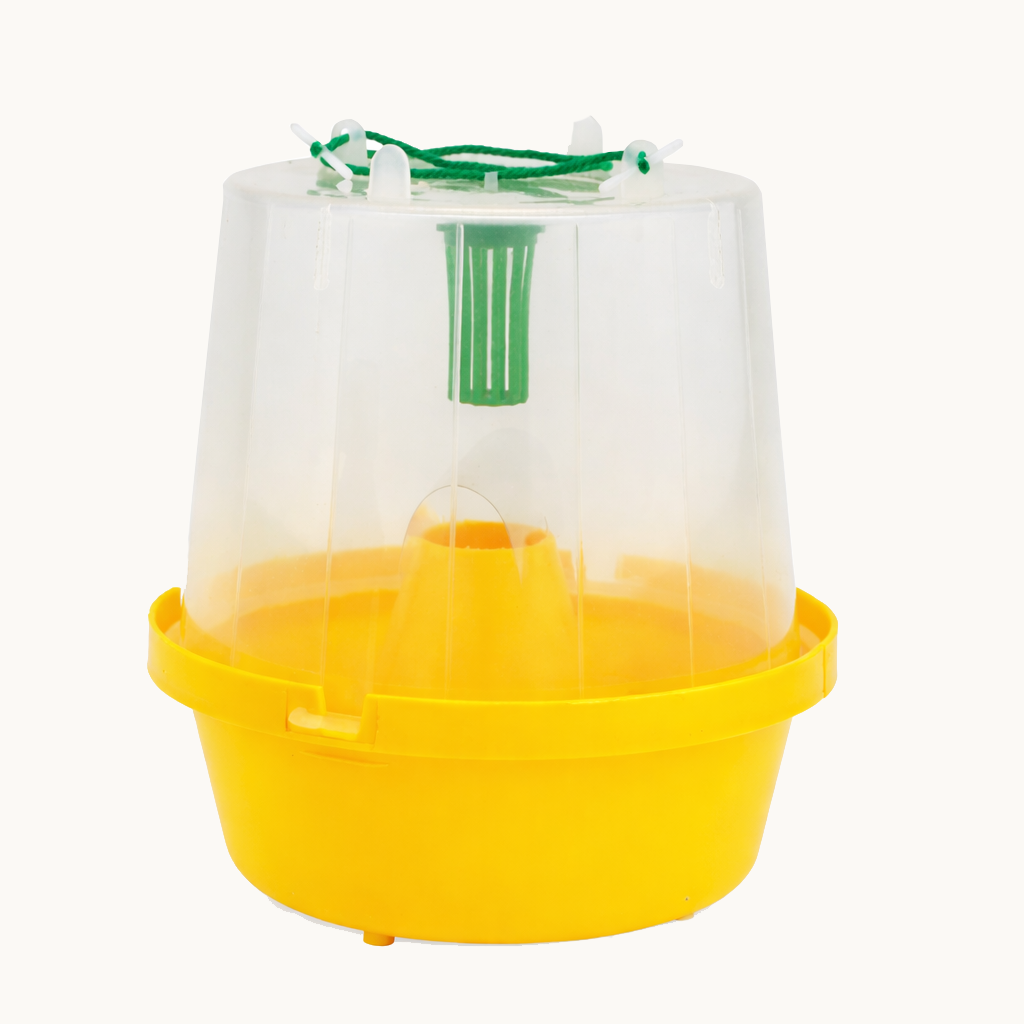 Wasp Trap (Only)